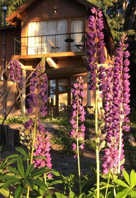 Villa La Angostura Apartment | Discover CasaSur - 37Robles: Pet & Child Friendly Escape