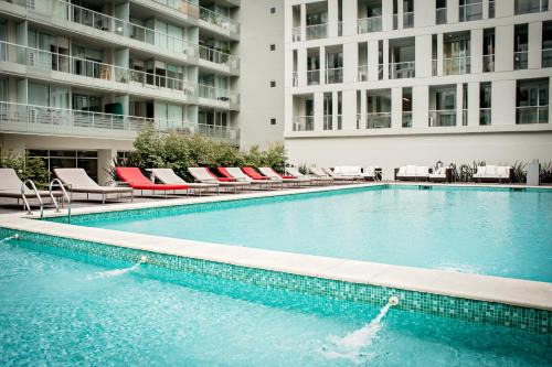 Palermo Hotel | Discover CasaSur Bellini Hotel: Poolside Retreat Awaits