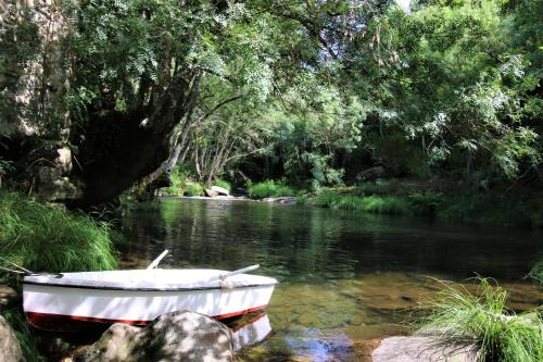 Gouviaes House | Pet-Friendly Escape at Cascata do Varosa with Ocean Views