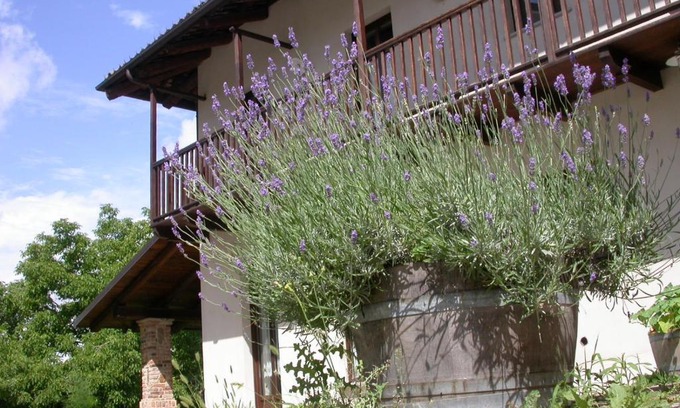 Pocapaglia Bed & Breakfast | Discover Cozy Bed and Breakfasts in Pocapaglia, Italy