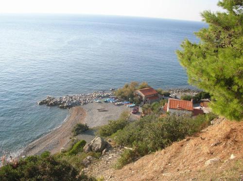 Pomonte House | Family-Friendly Retreat at Casetta Azzurra - Rated 8.5/10