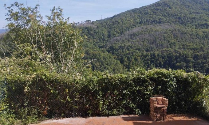 Masero House | Discover Casetta Immersa nel Verde: A Relaxing Oasis