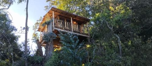 Zipaquira Apartment | Pet-Friendly Casiopea Glamping: Highly Rated at 9.2/10