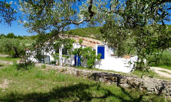 El Perello House | Relax at Casita Blanca: Oceanfront & Pet-Friendly Retreat