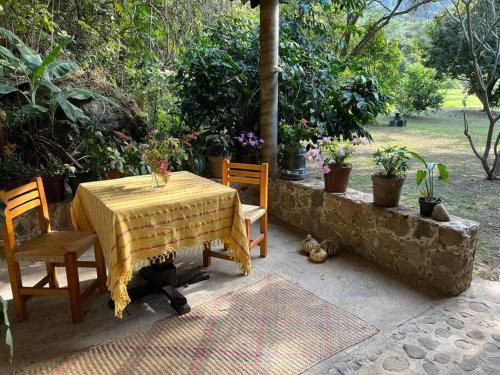 Amatlan House | Pet-Friendly Retreat at Casita de las Hadas Awaiting You