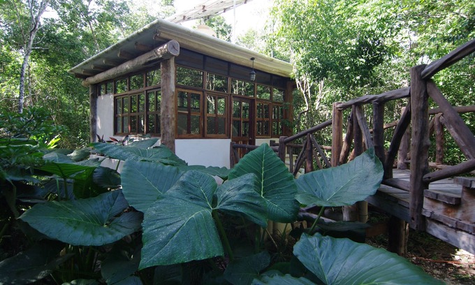 Tulum Cottage | Unforgettable Stay at Casita Milagros - Jungle Tree House