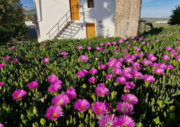 Illora Apartment | Exceptional Casita of Casa Olivar with Oceanfront Pool