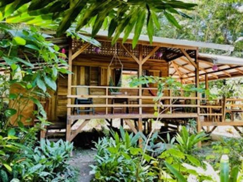 Manzanillo House | Discover Casonita: Guest Rated 9.7, Pet & Child Friendly
