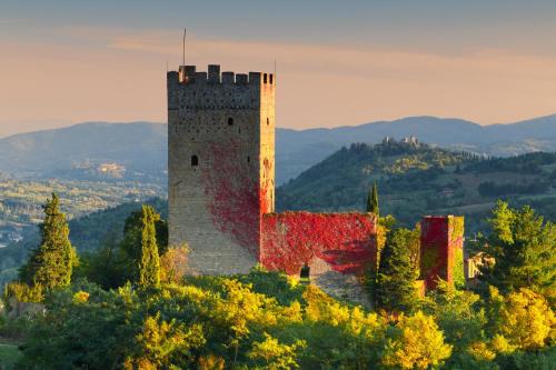 Porciano House | Pet-Friendly Retreat at Porciano SRL - Rated 9/10 by Guests