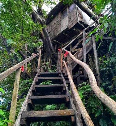 Tanna Island Hotel | Enchanting Retreat at Castle Tree House and Bungalow