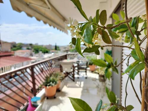 Sykies Apartment | CastleView 2BR: Guest Rated 9.7, Child-Friendly Retreat