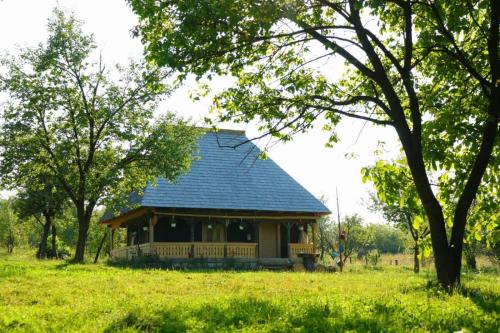 Breb House | Top-Rated Căsuța din Gradina: Family-Friendly Retreat