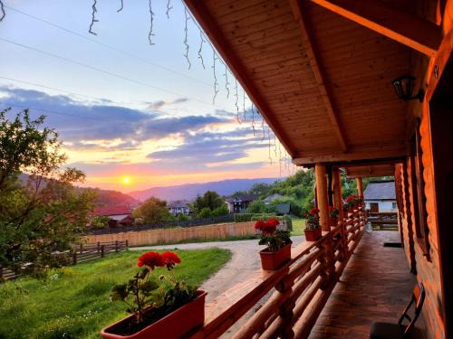 Viseu de Sus House | Discover Casuțele de sub deal: Hot Tub & Pet-Friendly Stay