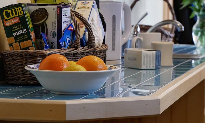 Callicoon Center House | CATSKILL CABIN 3 — 15% OFF-Casual, Luxurious, Clean & Cozy Getaway on 183 acres