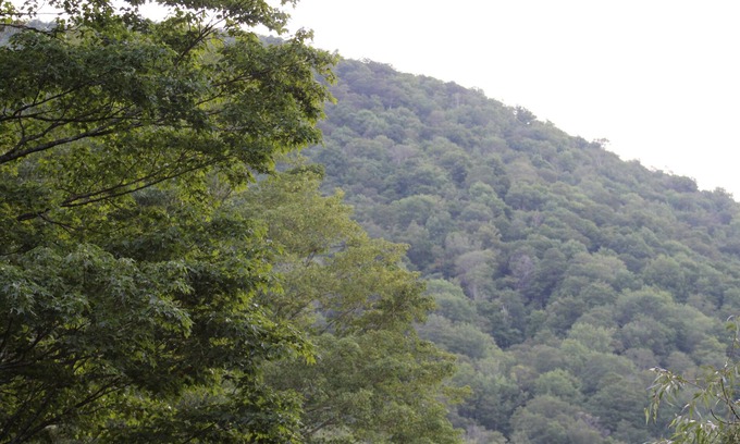 Shandaken Hotel | Inviting Catskill Seasons Inn: Pet-Friendly with Pool & Spa