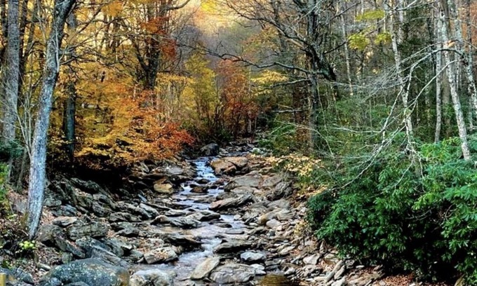 Cattail Creek Cabin | Unforgettable Cattail Creek: Hiking, Fishing & Family Fun