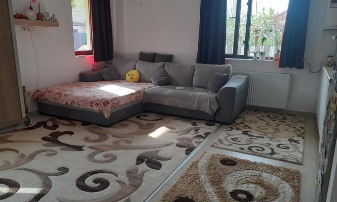 Otopeni Apartment | Convenient Cazare Otopeni for Families and Pets
