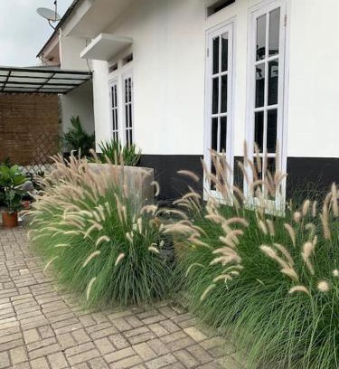 Sukabumi House | Ceana House at Selabintana