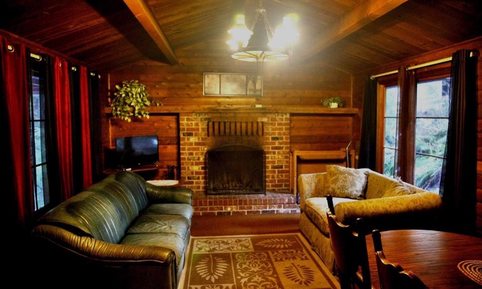 Ashford Cabin | Cozy Cedar Cabin Near Mt. Rainier with Kitchen & Breakfast