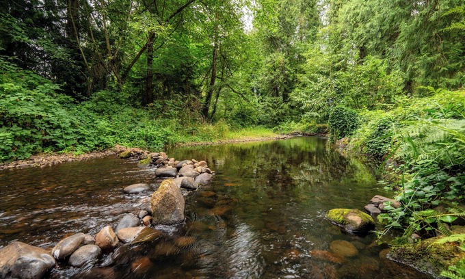 Sandy Cabin | Cedar Creek Cabin Mt Hood Access Peaceful