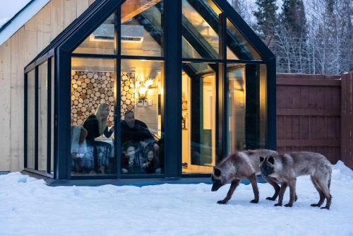 Timmins Hotel | Relax at Cedar Meadows Resort & Spa with Family-Friendly Amenities