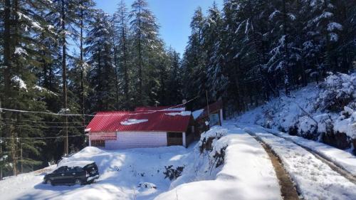 Matiana Cabin | Inviting Cedar Tree Cottage in Gadakufri for Families
