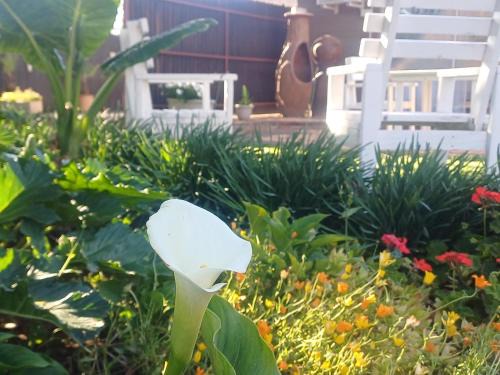 Universitas House | Welcoming Ceelee's Place: Poolside Retreat with Breakfast