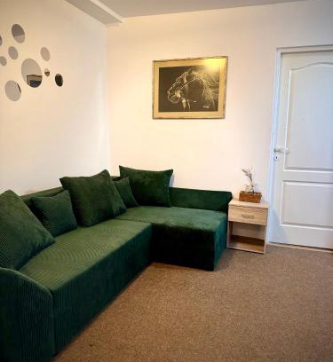 Tirgu Mures Apartment | Cozy Central Apartment for 7 - Family-Friendly Stay