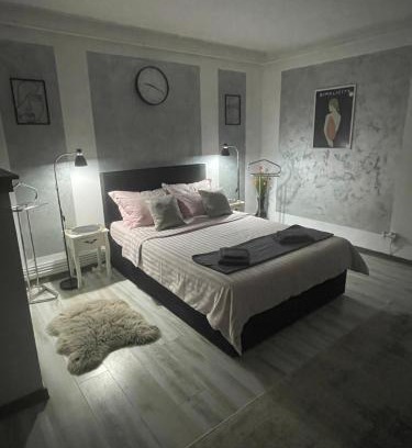 Hunedoara Apartment | Elegant Central Studio with Pool - Guest Rated 9.9/10