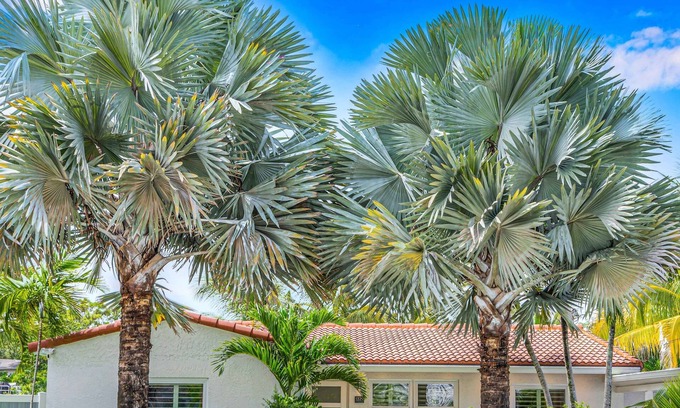 South New River Isles House | Perfectly Located Citrus Key with Heated Pool & Riverside Access