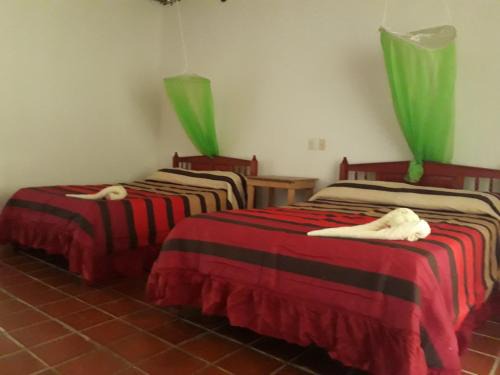 Lacanja Other | Accessible Eco Retreat at Centro Ecoturistico Ya´ajche