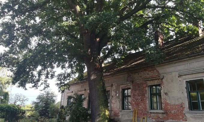 Ortwig Condo | Historic Retreat by Timeless Oak Tree with Pool & Kitchen