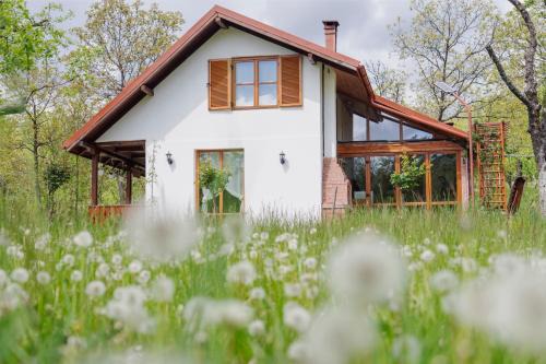 Vaideeni House | Guest Rated 9.9: Cerdacul din Livada - Pet and Child Friendly