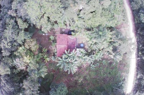 Morretes House | Cozy Casa Simples na Mata Atlântica - Guest Rated 10/10