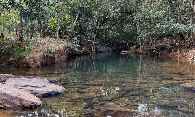 Alto Paraiso de Goias Cottage | Relax at Chácara Razac: Family and Pet Friendly Retreat