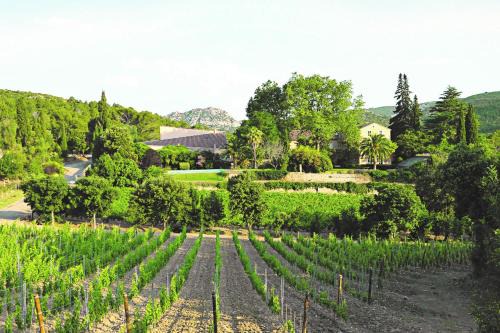 Villeseque-des-Corbieres House | Discover Château Haut Gléon: Family-Friendly with Pool