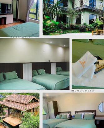 Moc Chau Bed & Breakfast | Cozy Châu Homestay: Family and Pet-Friendly Retreat