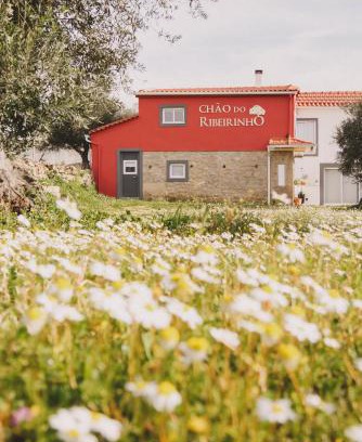 Fundao House | Experience Oceanfront Bliss at Chão do Ribeirinho