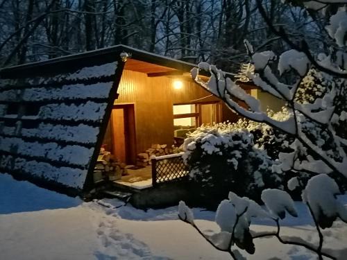 Meszna Ski Chalet | Pet-Friendly Getaway at Chałpa na skarpie - Rated 9.3/10
