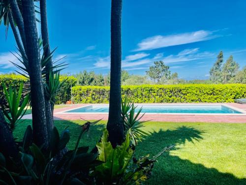 Paco House | Relaxing Chalé Davim with Pool & Oceanfront Views