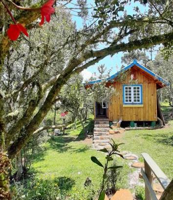 Urupema Cabin | Pet-Friendly Chalé Refúgio das Águas - Rated 10/10 by Guests