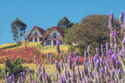 Pardinho House | Discover Chalés da Cuesta: Pet-Friendly Getaway Awaits!