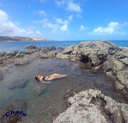 Icapui Apartment | Pet-Friendly Chalé Panulirus with Oceanfront Views