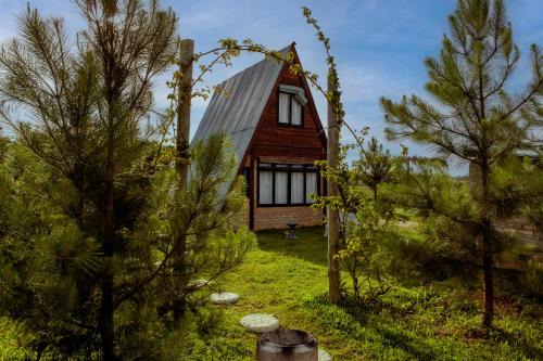 Picarras Ski Chalet | Experience CHALE DAS ESTRELAS: Pet-Friendly Getaway