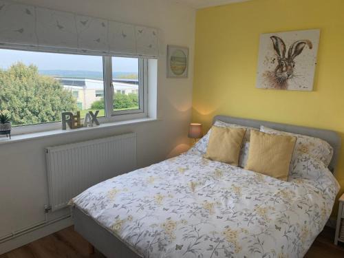 Widemouth Bay Ski Chalet | Pet-Friendly Chalet 26 with Oceanfront Views in Widemouth Bay