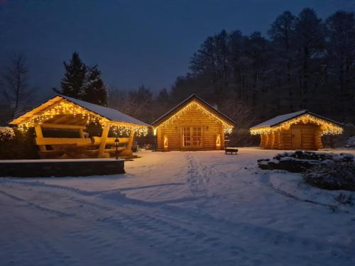 Bad Brambach Ski Chalet | Child-Friendly Retreat at Chalet am See - Guest Rated 9.5