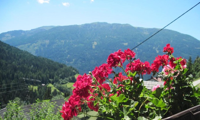 Radenthein Apartment | Family-Friendly Two Bedroom Apartment near Bad Kleinkirchheim