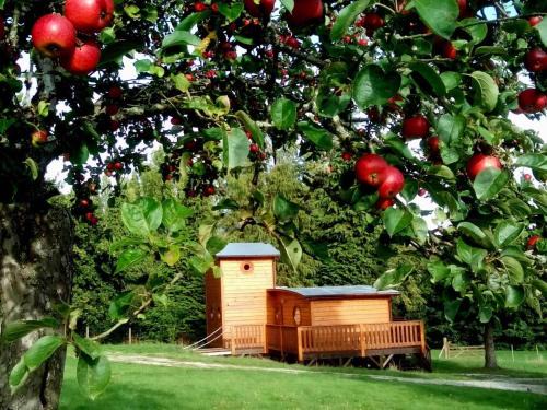 Radon House | Cozy Forest Chalet with Terrace, Fishing & Hiking Access