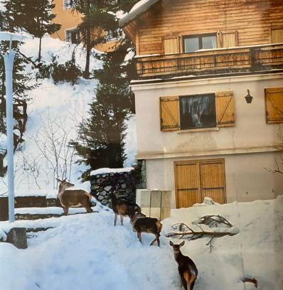 Saint-Etienne-de-Tinee Ski Chalet | Family-Friendly Chalet Auron: Pet & Child Welcome