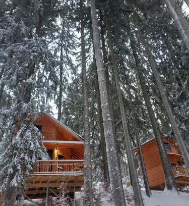Busteni Cabin | Experience Chalet Hay Huy: Pet-Friendly with Hot Tub Bliss